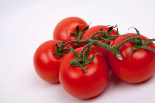 Tomates Sur Une Vigne — Photo