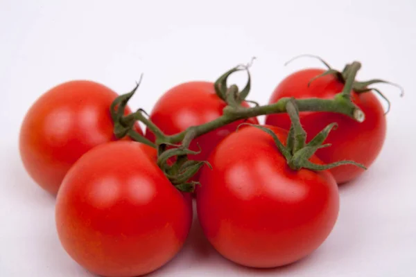 Los Tomates Vid — Foto de Stock