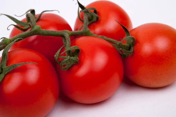 Tomates Sur Une Vigne — Photo