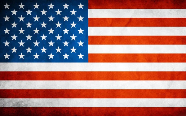 Flagge Der Vereinigten Staaten Von Amerika — Stockvektor