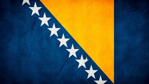 Bosnia Erzegovina Bandiera — Vettoriale Stock