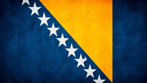 Bosna Hersek Bayrağı — Stok Vektör