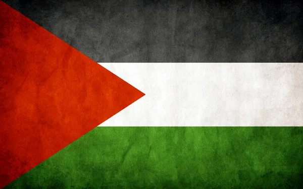 Drapeau Grunge Palestine — Image vectorielle