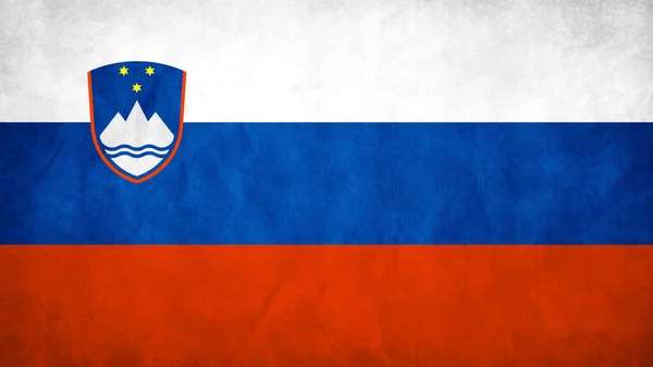 斯洛文尼亚的Grunge国旗 — 图库矢量图片