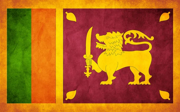 Sri Lanka Bandeira Grunge — Vetor de Stock