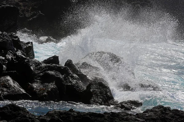 サンミゲル海岸、アゾレス諸島. — ストック写真