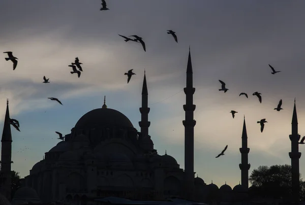 Κωνσταντινούπολη. Πουλιά πάνω από το αρχαίο Τζαμί — Φωτογραφία Αρχείου