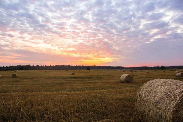 Нереалістично красивий захід сонця над літнім полем — стокове фото