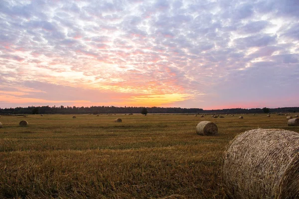 Unrealistically belo por do sol sobre o campo de verão — Fotografia de Stock