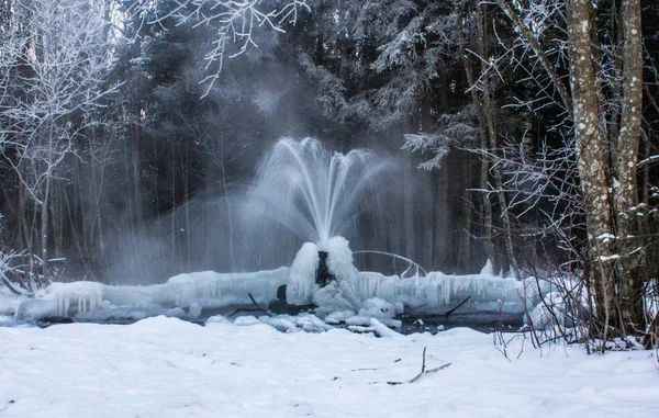 Russia Regione Leningrado Villaggio Korpikovo Gatchina Geyser — Foto Stock