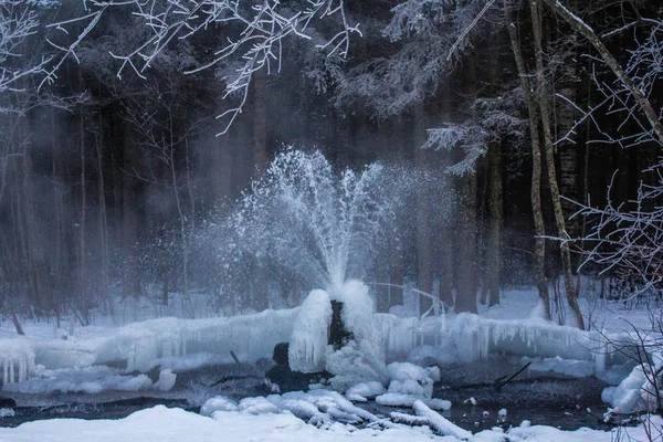 Russia Regione Leningrado Villaggio Korpikovo Gatchina Geyser — Foto Stock