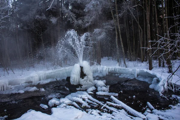 Russia Regione Leningrado Villaggio Korpikovo Gatchina Geyser — Foto Stock