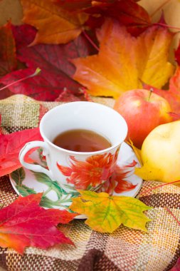 sonbahar çay partisi