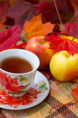 Ruh sonbahar, rahat bir ev ortamında çay içmek