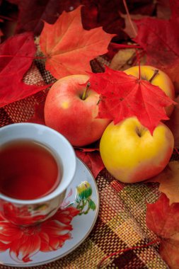 Ruh sonbahar, rahat bir ev ortamında çay içmek