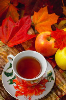 sonbahar çay partisi