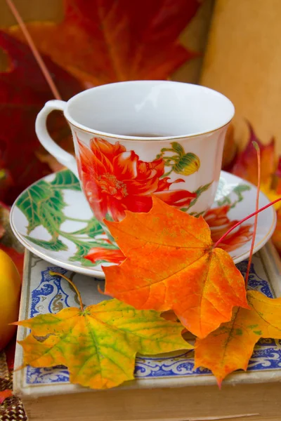 Осенний чаепитие — стоковое фото