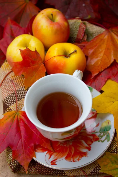 Festa do chá de outono — Fotografia de Stock