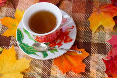 sonbahar çay partisi