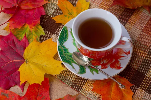 sonbahar çay partisi