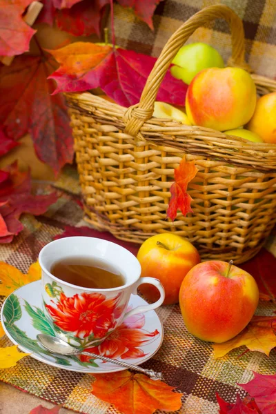 Nastrój Jesień Pić Herbatę Przytulnej Atmosferze Domu — Zdjęcie stockowe