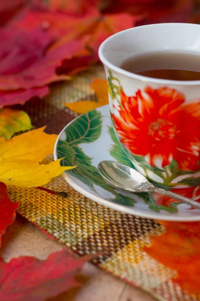 Осенний чаепитие — стоковое фото