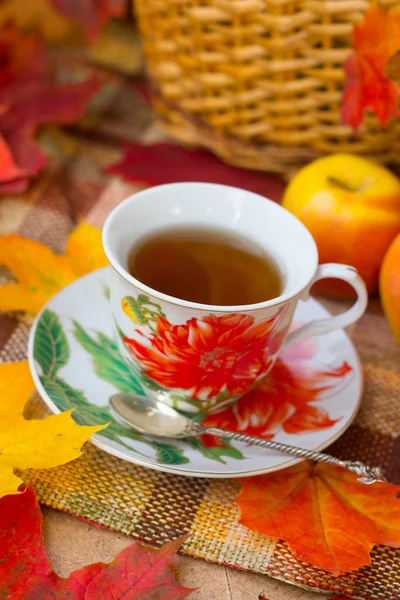 Stimmung Herbst Tee Trinken Gemütlicher Atmosphäre Hause — Stockfoto