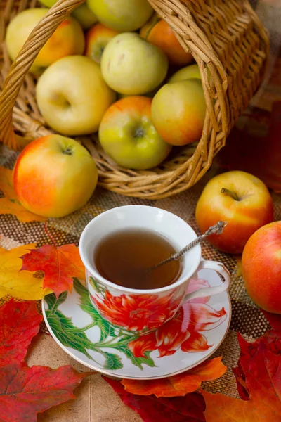 Teeparty im Herbst — Stockfoto