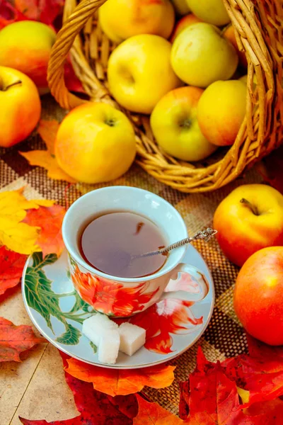 Mood autumn, drink tea in a cozy home atmosphere