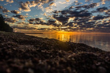 Finlandiya Körfezi (Leningrad region yaz sunset)