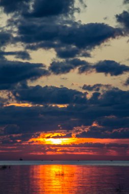 Finlandiya Körfezi (Leningrad region yaz sunset)