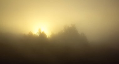 Sabahın erken saatlerinde yolda bir sis olduğunu