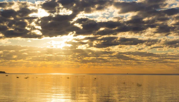 Finlandiya Körfezi (Leningrad region yaz sunset)