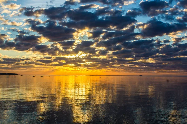 Finlandiya Körfezi (Leningrad region yaz sunset)