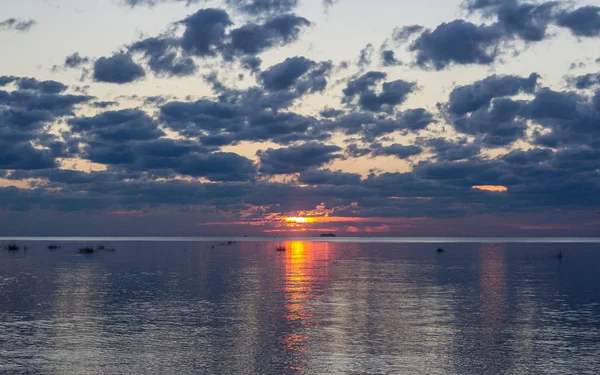 Finlandiya Körfezi (Leningrad region yaz sunset)