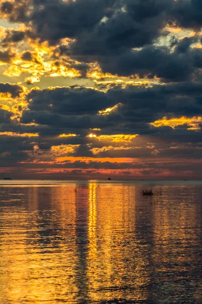 Finlandiya Körfezi (Leningrad region yaz sunset)