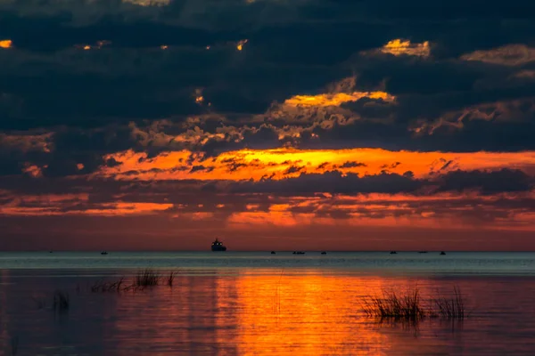 Pôr Sol Verão Golfo Finlândia Região Leningrado — Fotografia de Stock