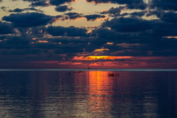 Finlandiya Körfezi (Leningrad region yaz sunset)