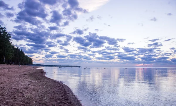 Finlandiya Körfezi (Leningrad region yaz sunset)