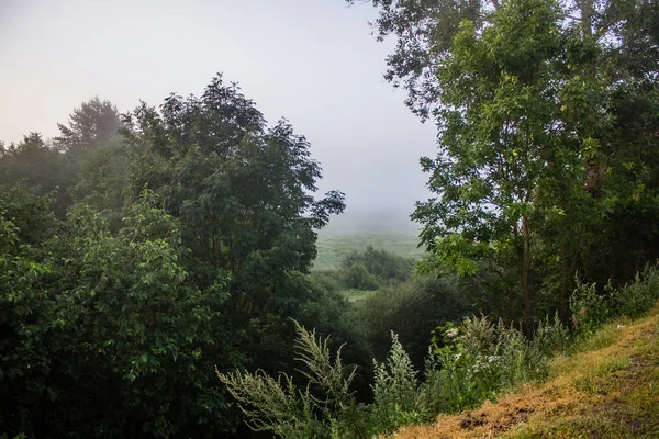 Camino Temprano Mañana Hay Una Niebla — Foto de Stock