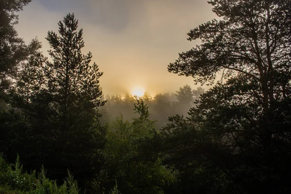 Frühen Morgen Liegt Nebel Auf Der Straße — Stockfoto