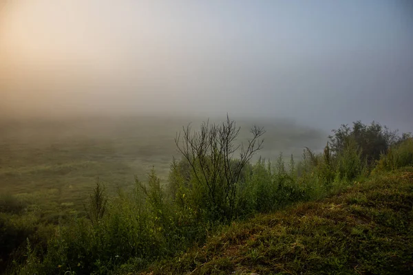 Frühen Morgen Liegt Nebel Auf Der Straße — Stockfoto