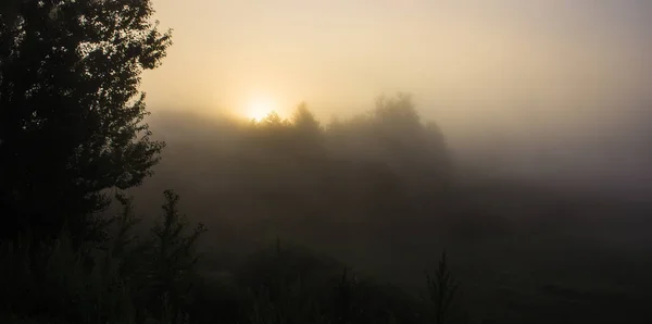 Camino Temprano Mañana Hay Una Niebla — Foto de Stock