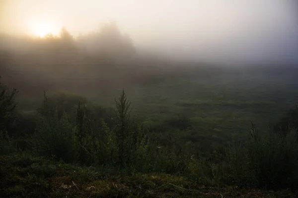 Drum Dimineața Devreme Există Ceață — Fotografie, imagine de stoc