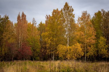 Rusya, Leningrad region, Gatchina, Gatchina park