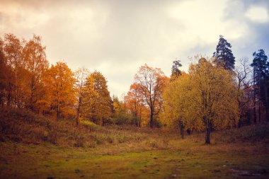 Rusya, Leningrad region, Gatchina, Gatchina park