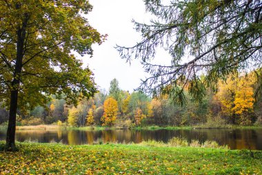Rusya, Leningrad region, Gatchina, Gatchina park