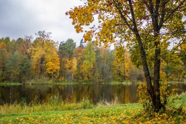 Rusya, Leningrad region, Gatchina, Gatchina park