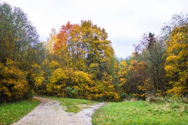 Rusya, Leningrad region, Gatchina, Gatchina park