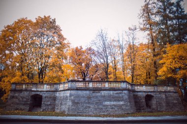 Gatchina Park altın sonbahar